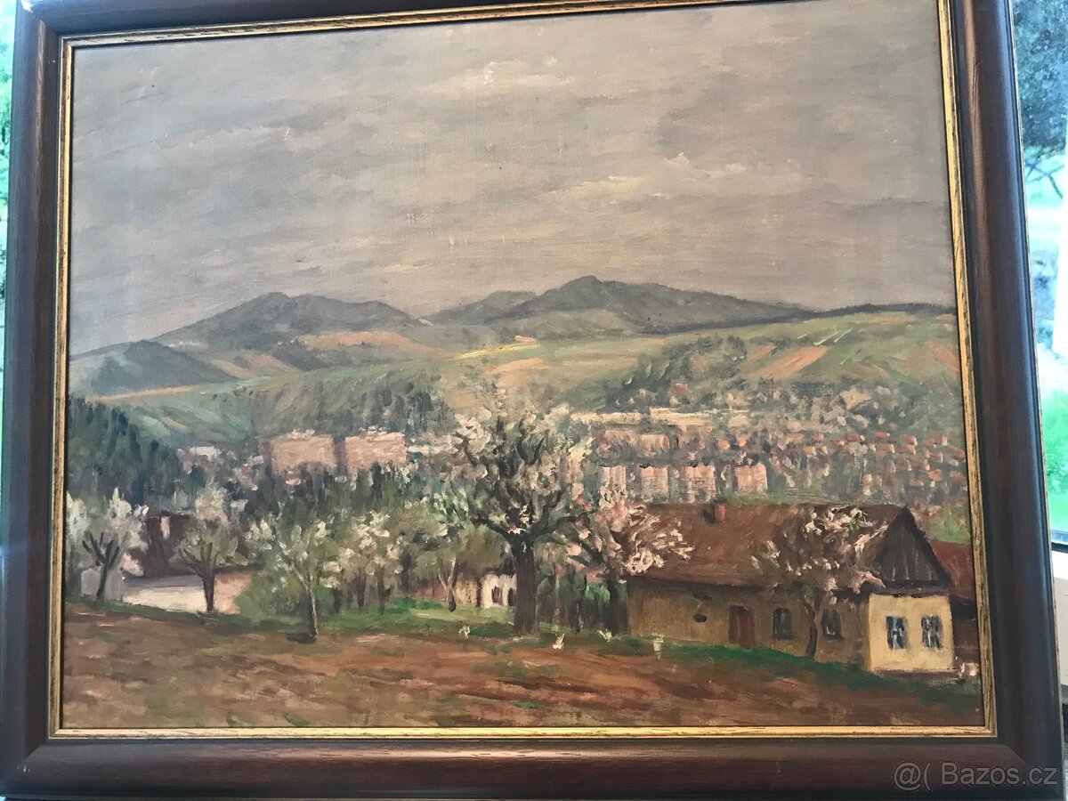 Prodam obraz Zlina