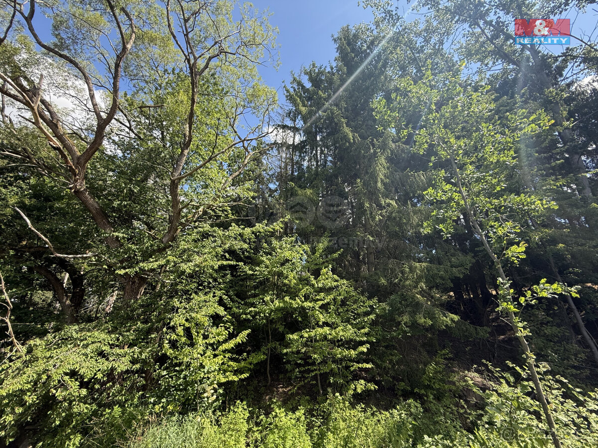 Prodej lesa, 5323 m², Olší u Opařany