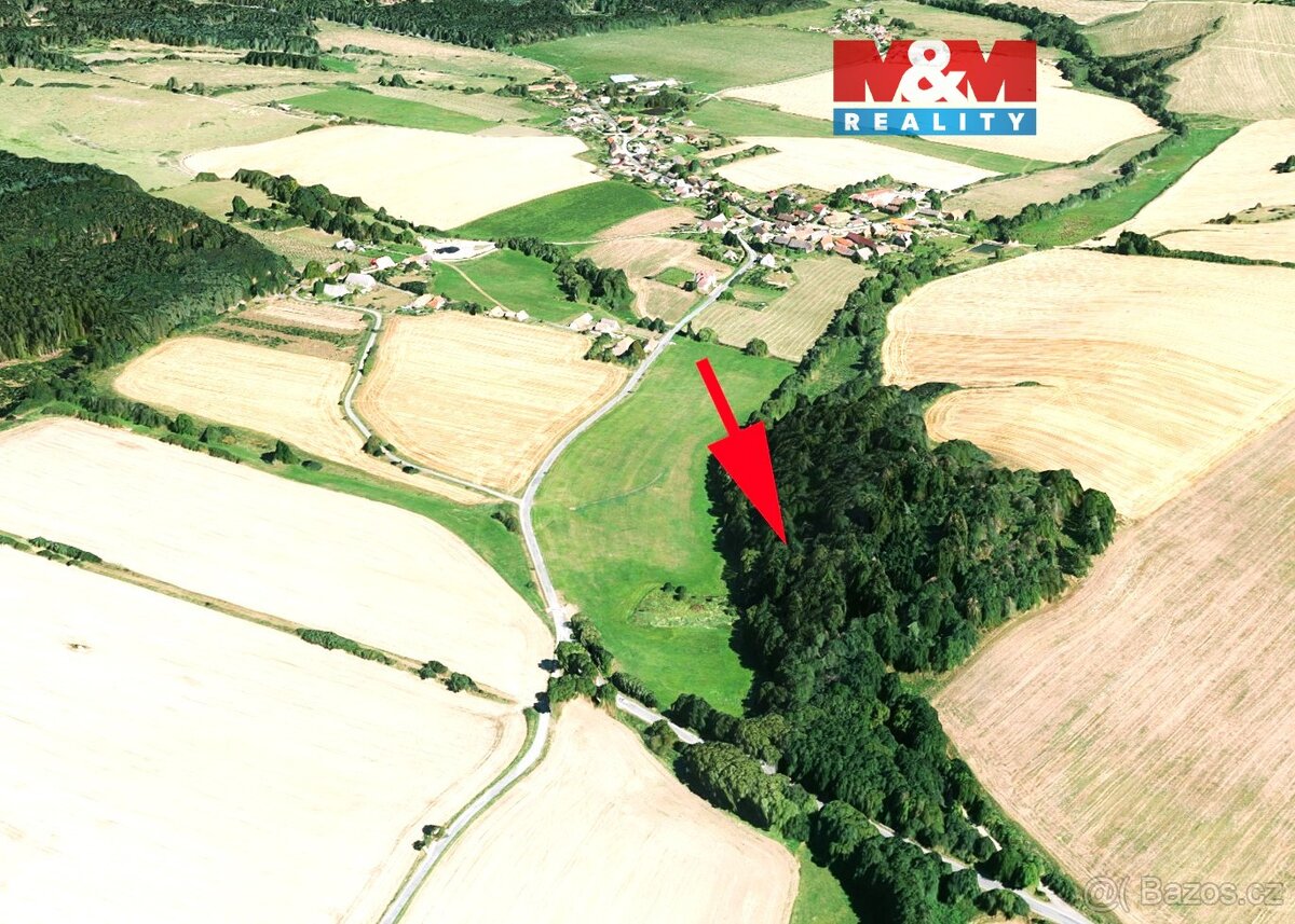 Prodej lesa, louky a vodní plochy, 8352 m², Sedliště