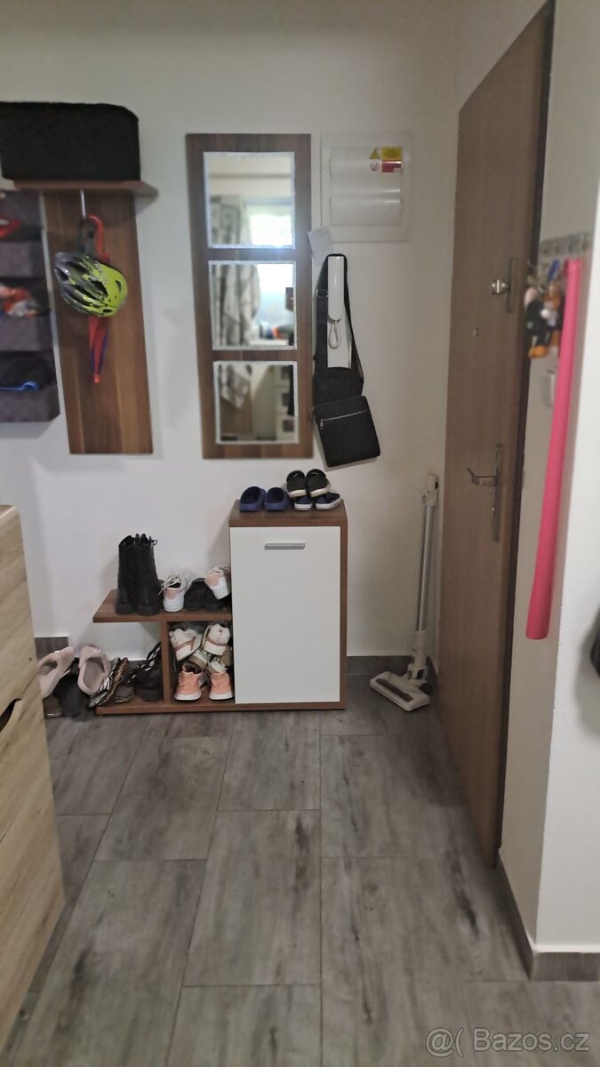 Pronájem bytu 2+1