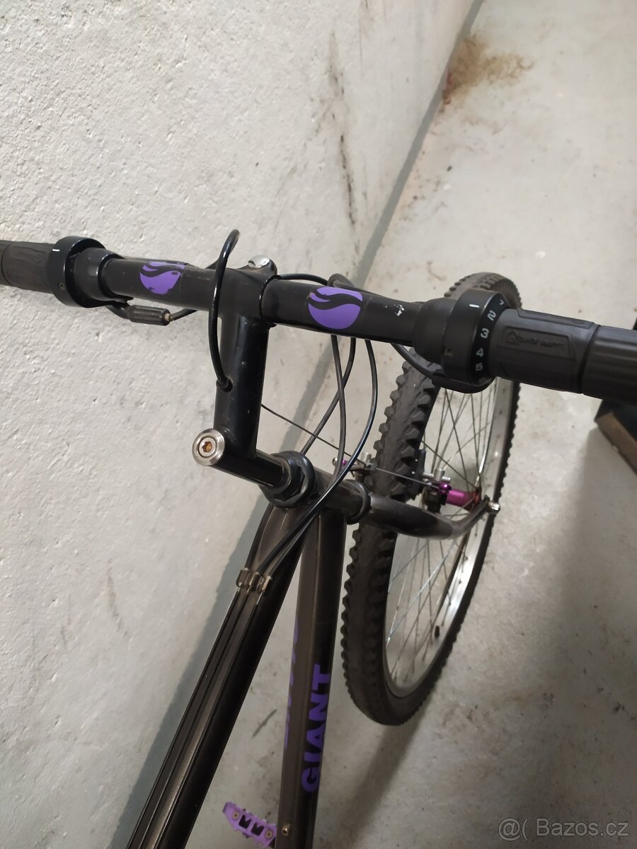 Giant 26'