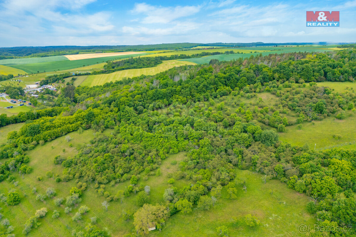 Prodej lesa, 2518 m², Chyňava