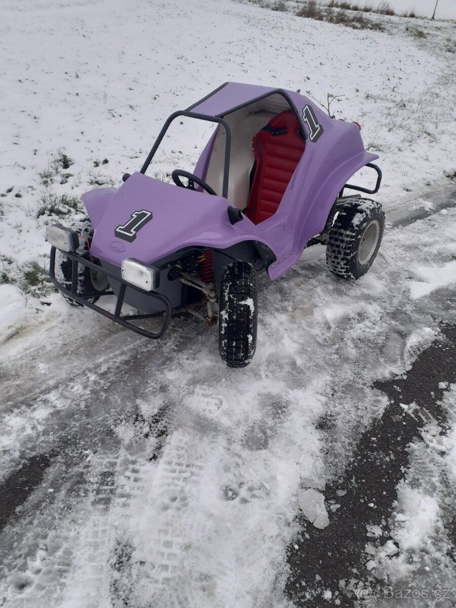 Dětská Buggy havel