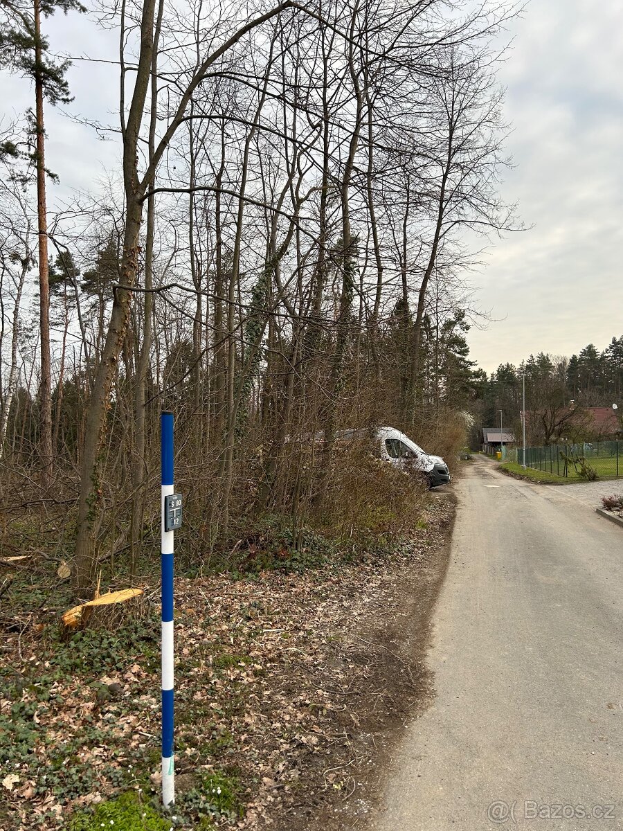 Prodej lesního pozemku v k.ú. Skalice u Frýdku Místku