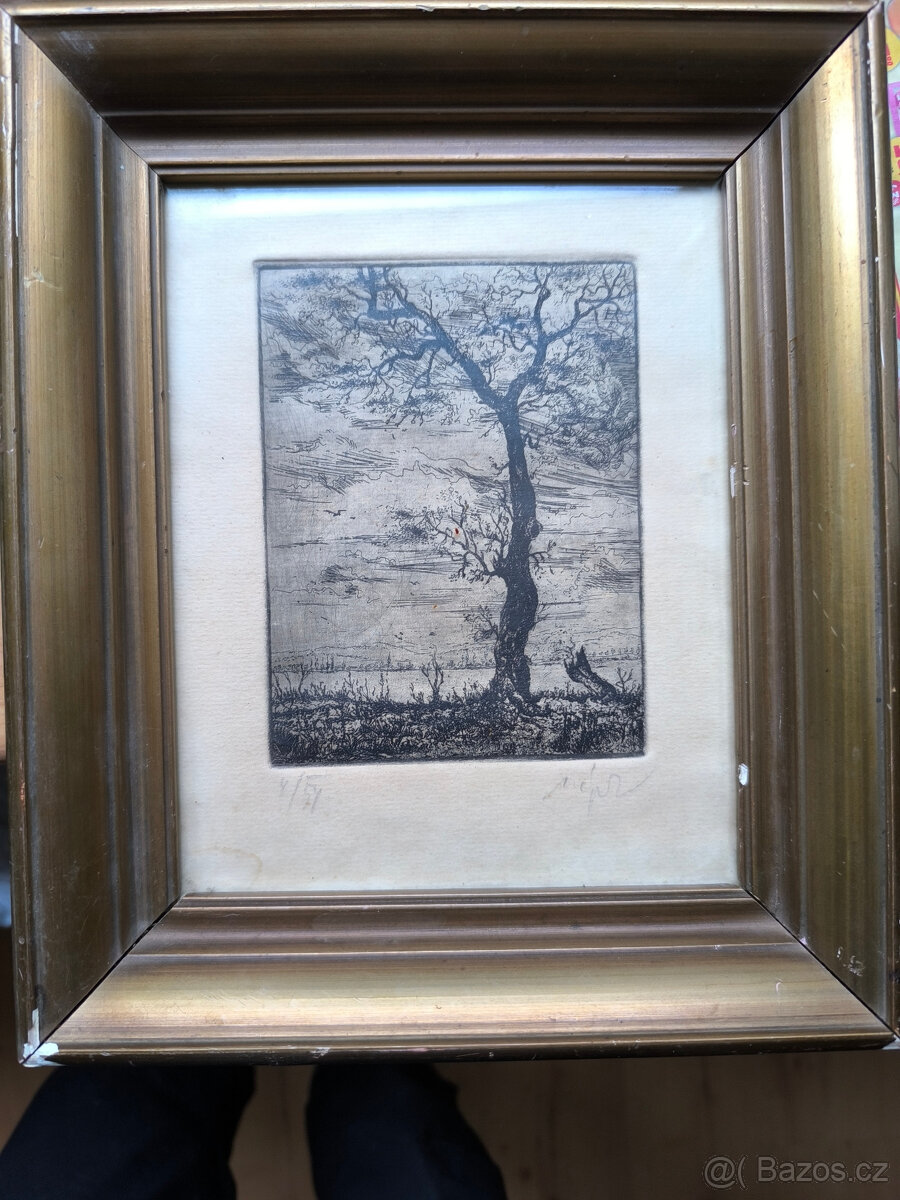 Starý obrázek,grafika 50.léta,podpis autora,číslo série,orig