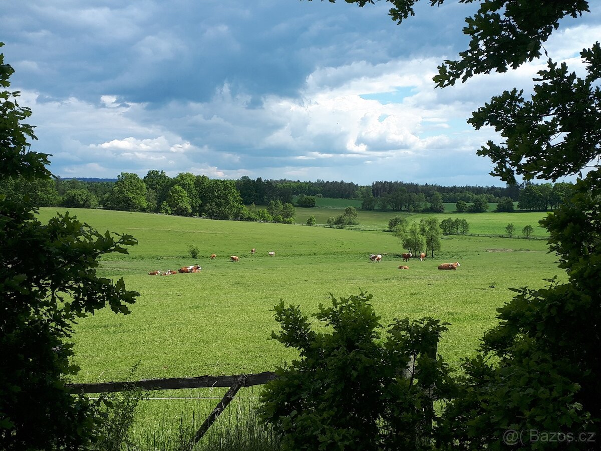 Sleva - na lesy a pozemky