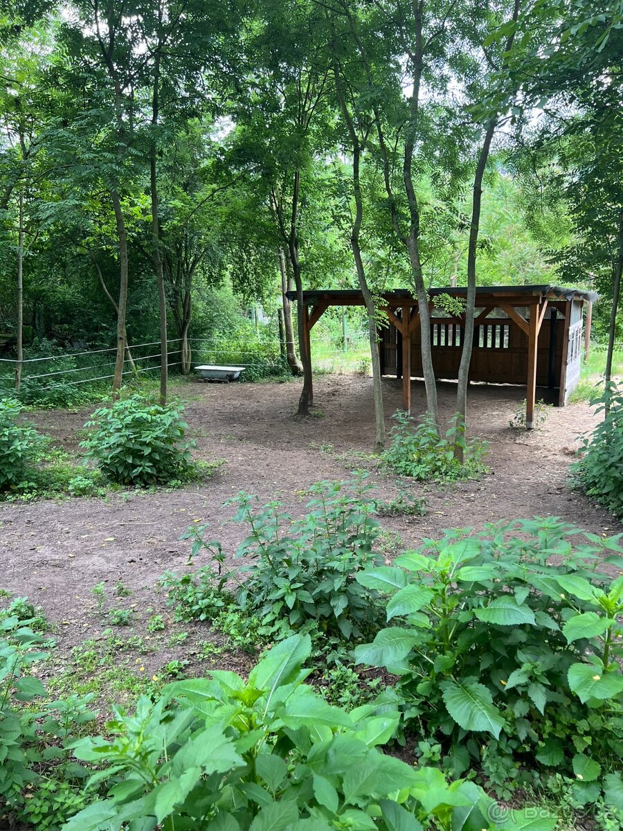 ustájení paddock paradise, Kralupy nad Vltavou, D8 Exit 8
