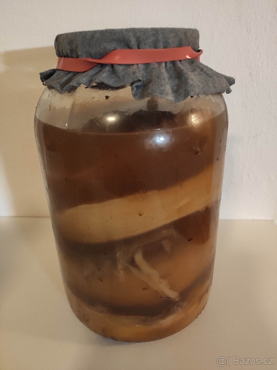 Kombucha
