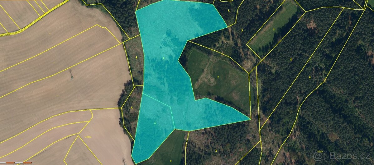 Prodej, Lesní pozemek, k.ú. Babice u Okrouhlice, Volichov