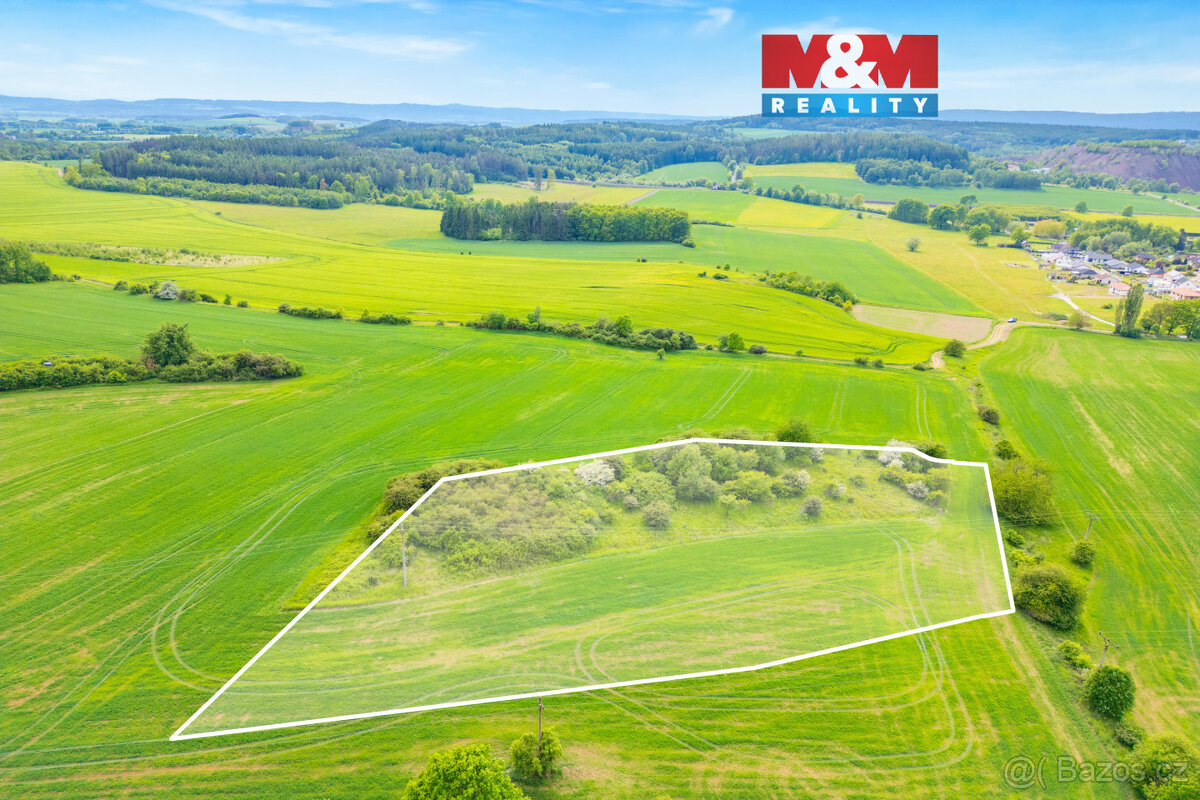 Prodej louky, 6006 m², Lešetice