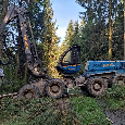 Harvestor Rottne H21D