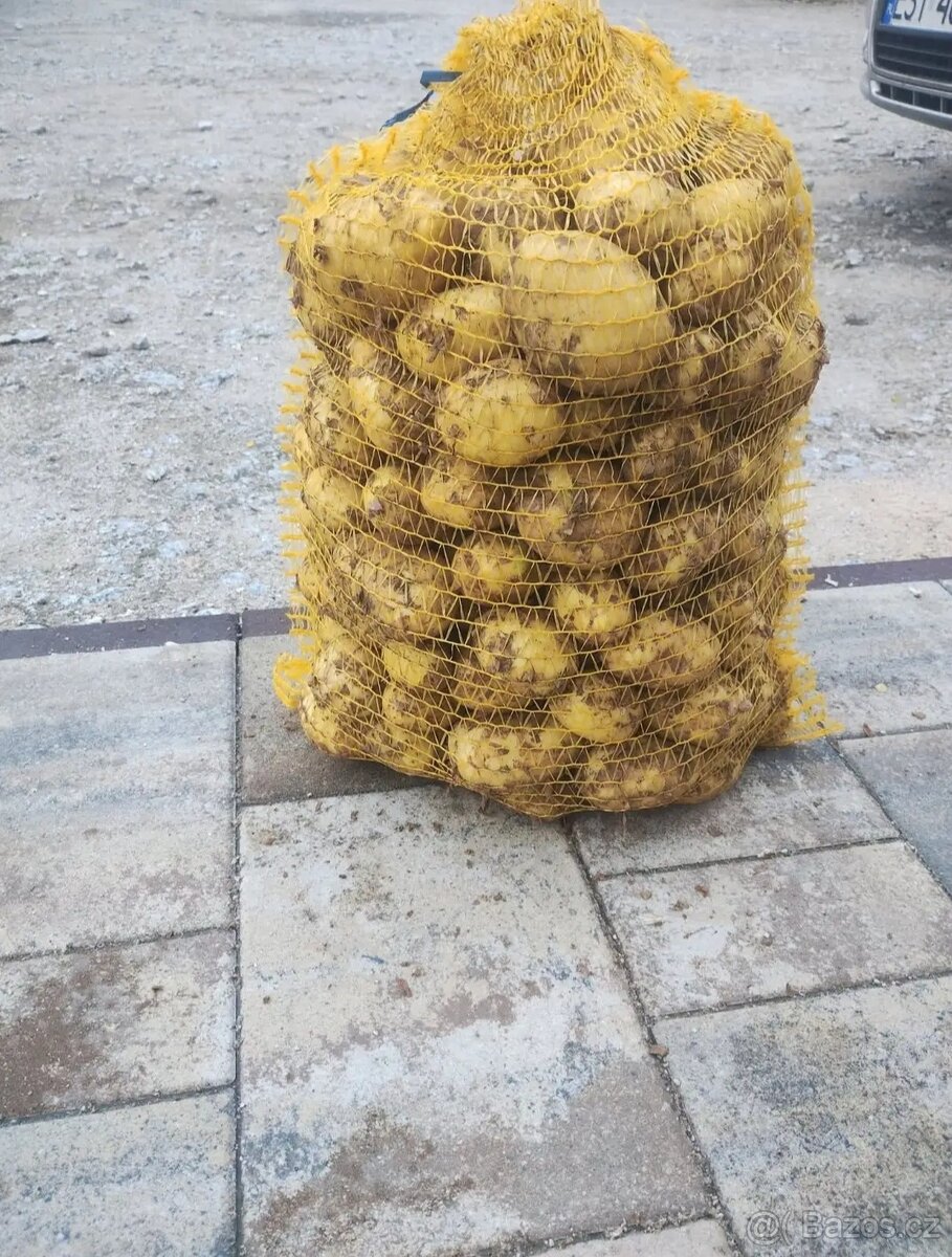 Brambory
