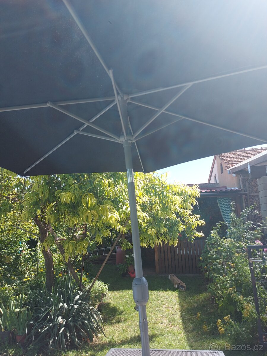 Slunečník