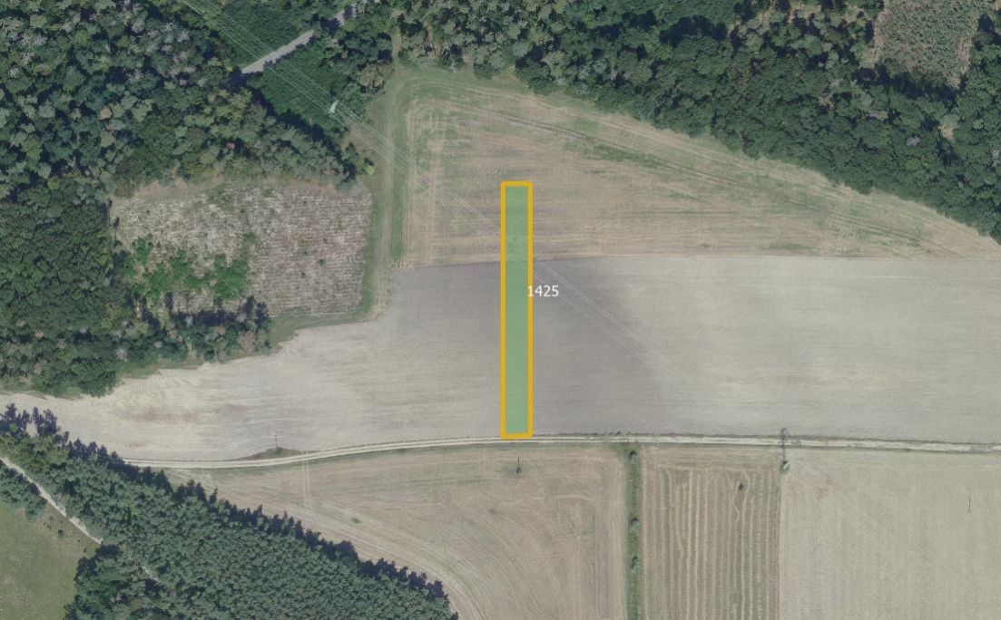 Zemědělská půda, prodej, Sány, Nymburk