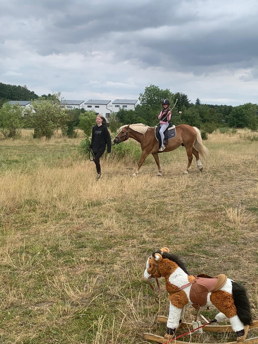 Nabídka ustájení 24/7 Praha