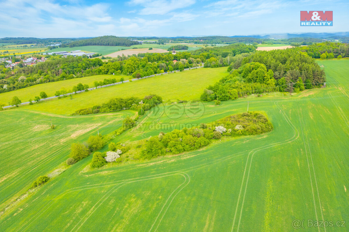 Prodej louky, 6006 m², Lešetice