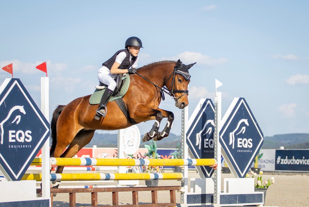 5ti letá PONY B klisna do sportu