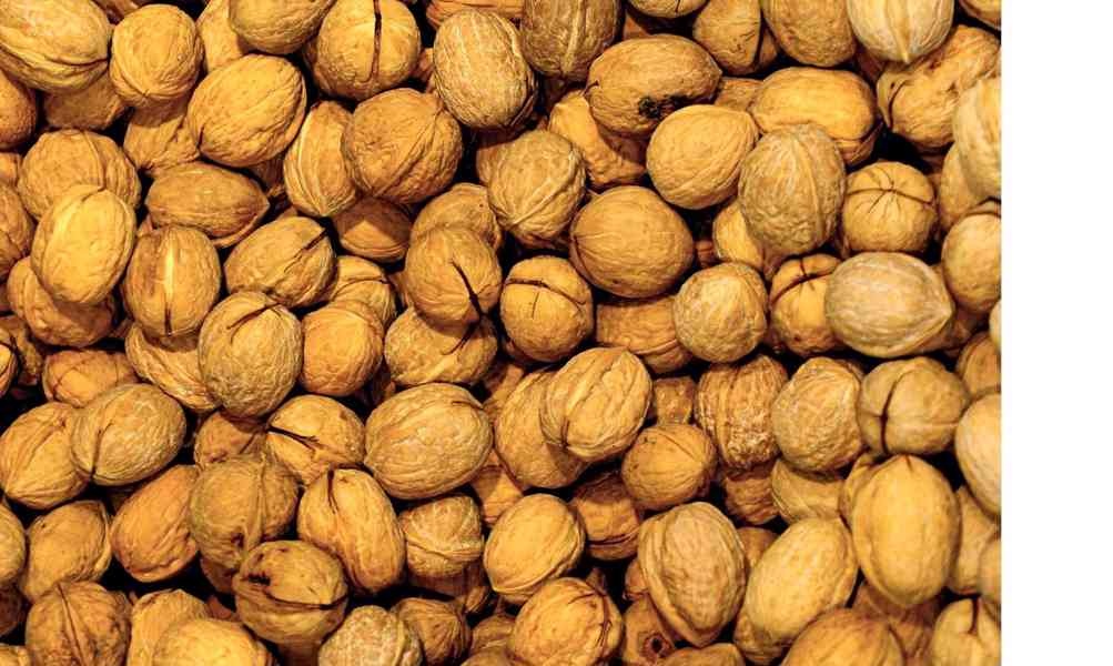 Prodám vlašské ořechy ze zahrádky, neloupané. Cena - 70 Kč/k