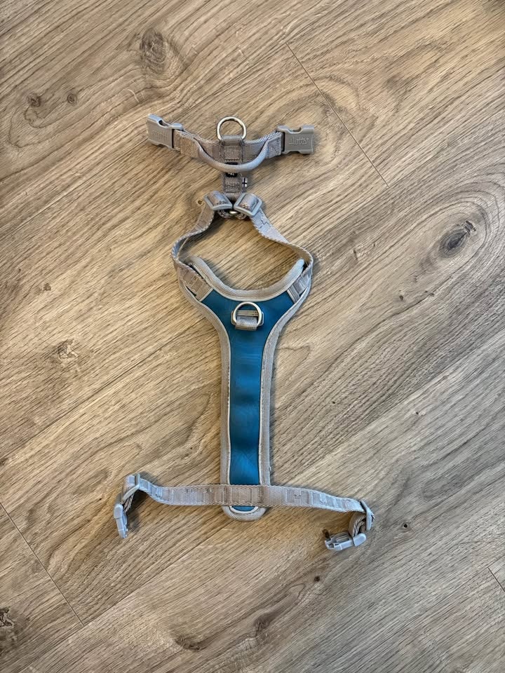 Postroj Hurtta - velikost 40-45