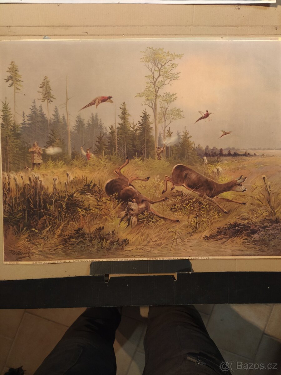 Obrázky s mysliveckou tématikou