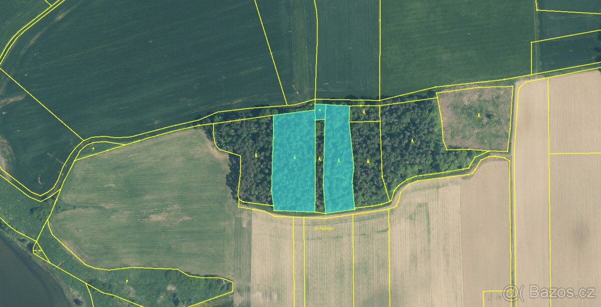 Prodám pozemky v katastrálním území Králova Lhota