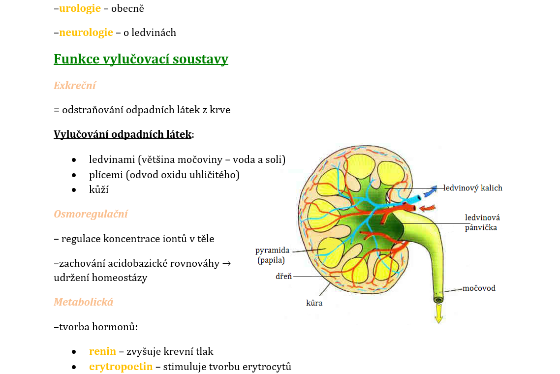 Maturitní otázky biologie
