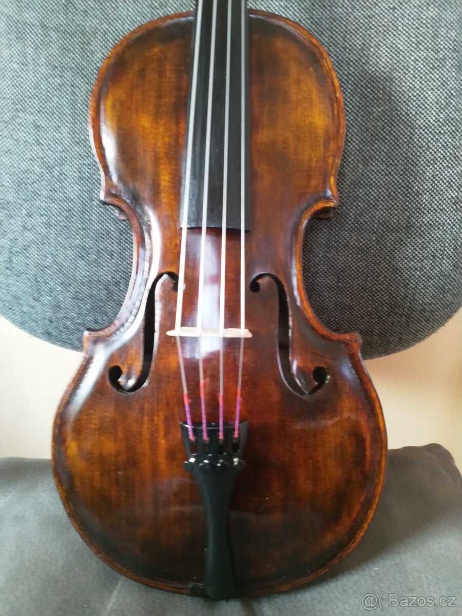 VIOLA 38,5