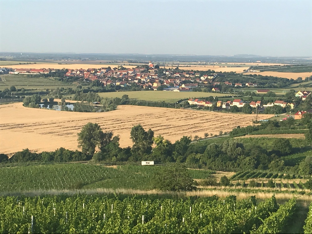 Pozemek Vinice, Jižní Morava.