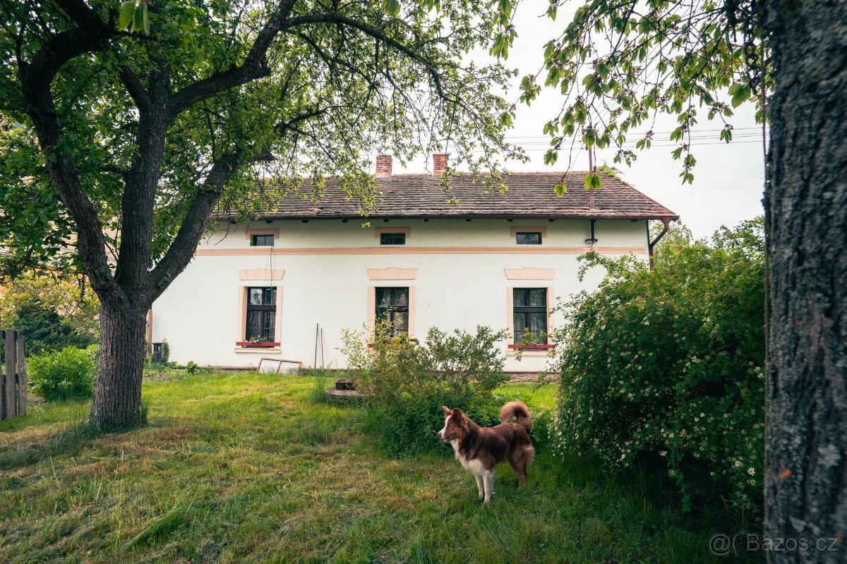 RD 4+1, 135 m² + půda, 984 m² pozemek – Vstiš u Dobřan