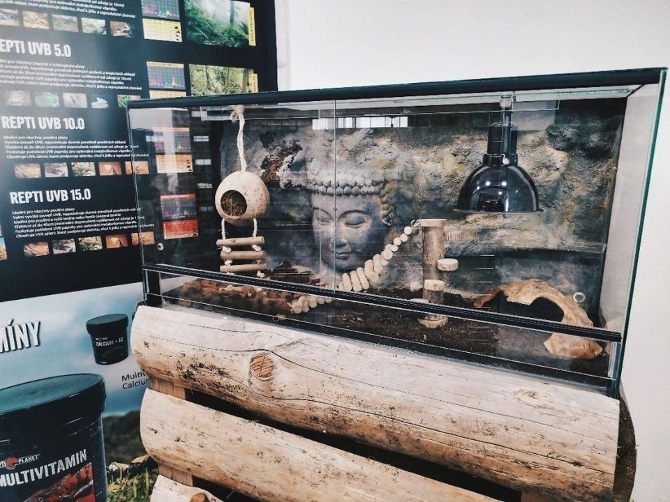 Terárium Indie 80x40x40 cm s 3D pozadím a hlavou Buddhy