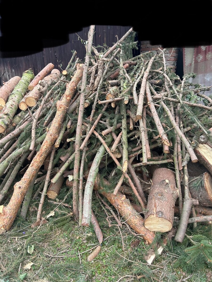 Smrkové / borovicové dřevo, špalky