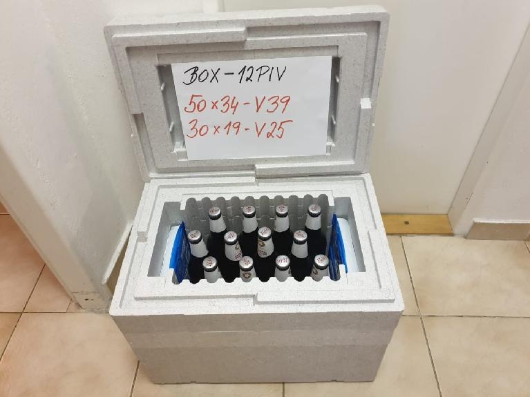 termobox,thermobox,polystyrenova bedna Pro 12PIV