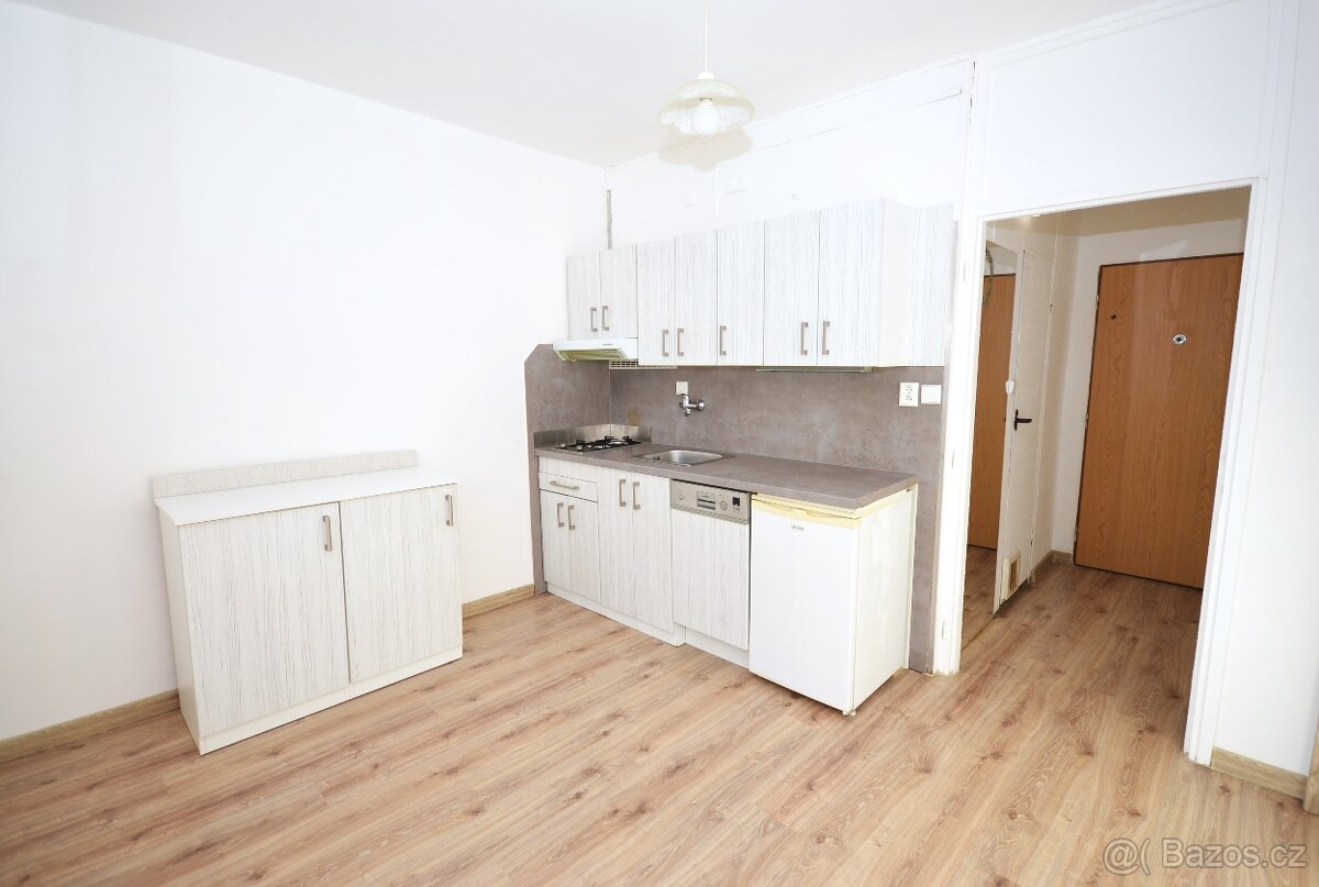 Pronájem bytu 1+1 36 m²