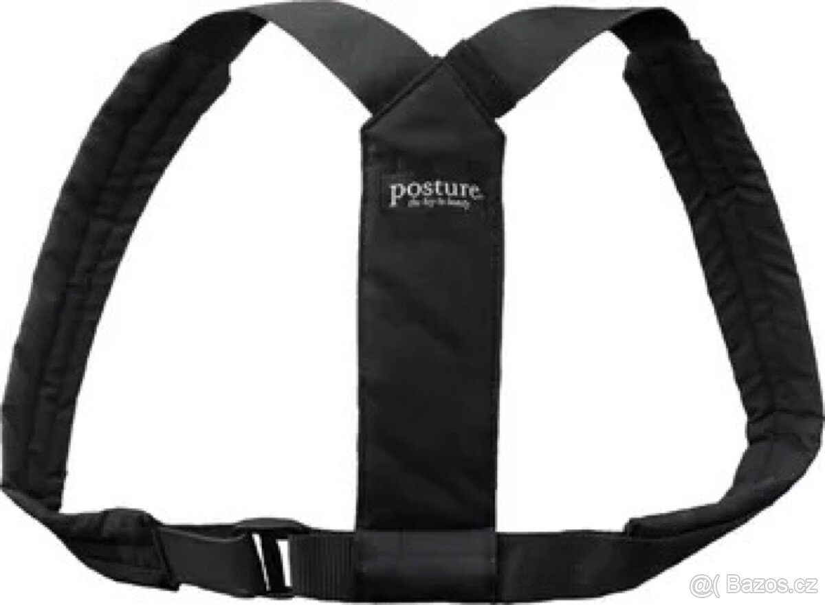 Flexi Swedish Posture