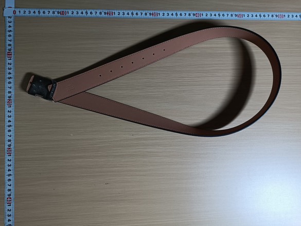 Louis Vuitton pasek