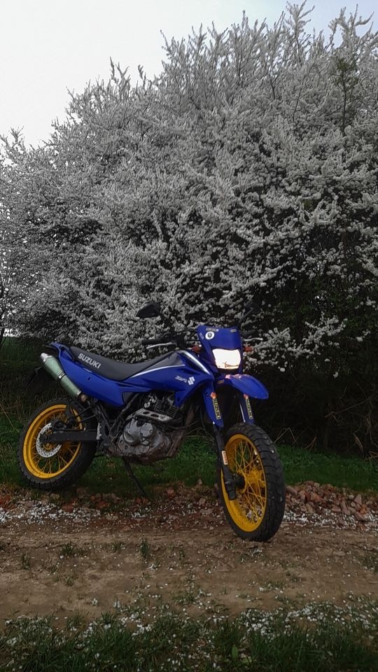 Suzuki DR 125 SM – nepojízdná, STK 2/2028, A1,