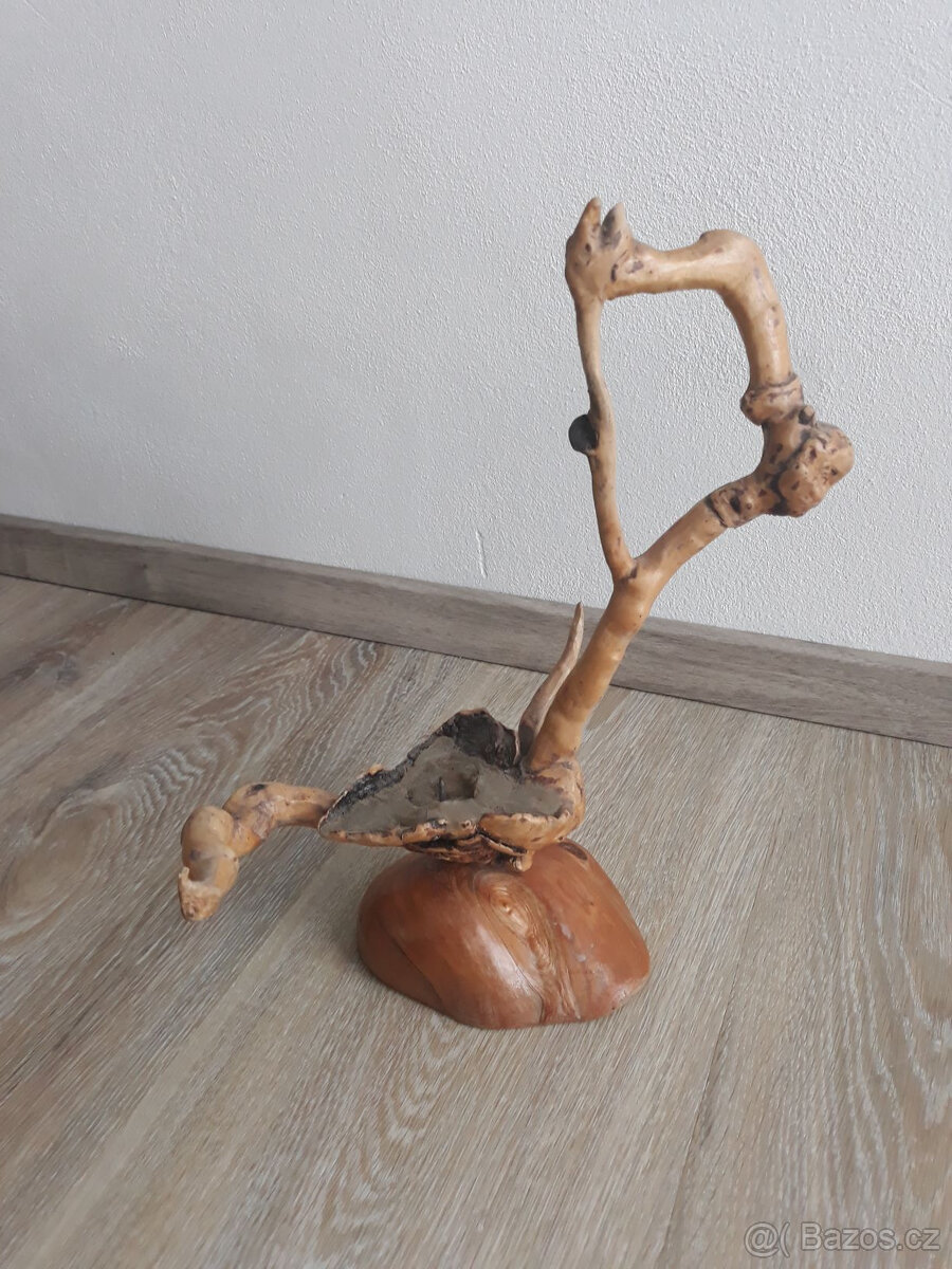 svícen - samorost