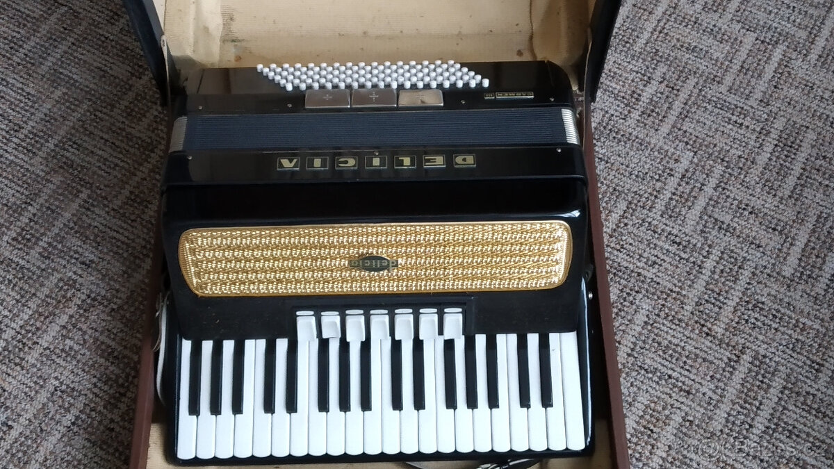 Akordeon Delicia III