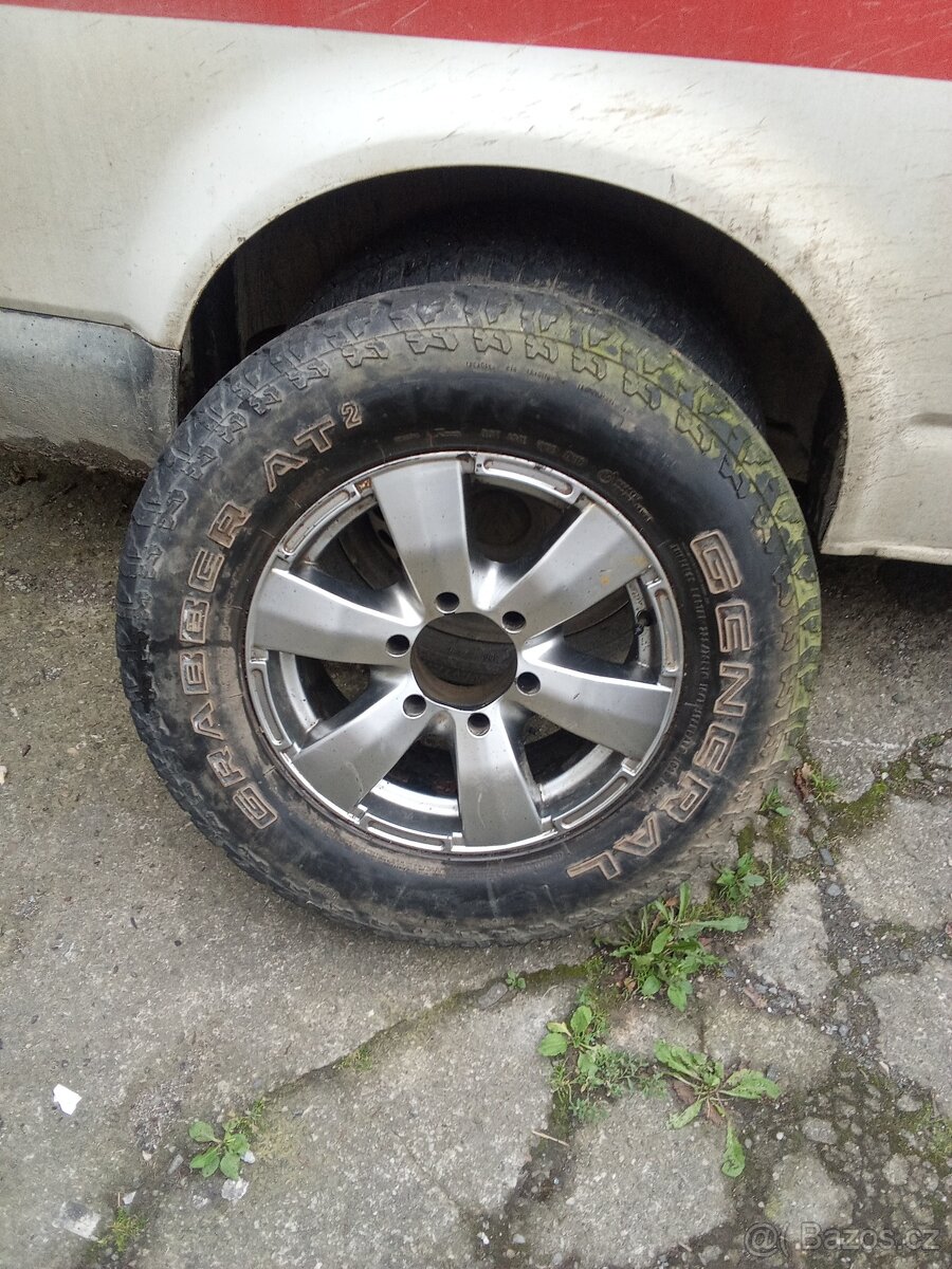 ALU terrano