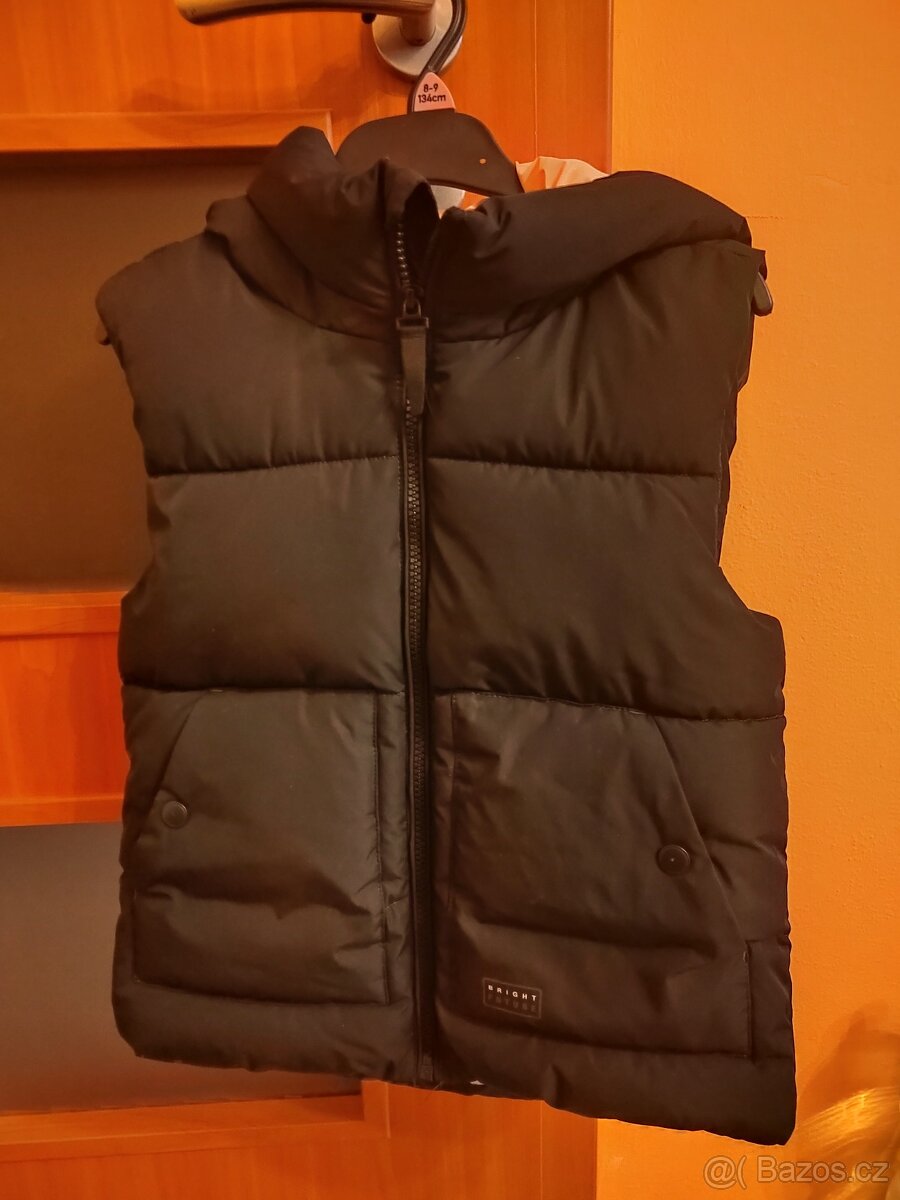 Dívčí vestička