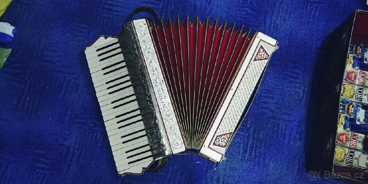 Akordeon N.Frontalini