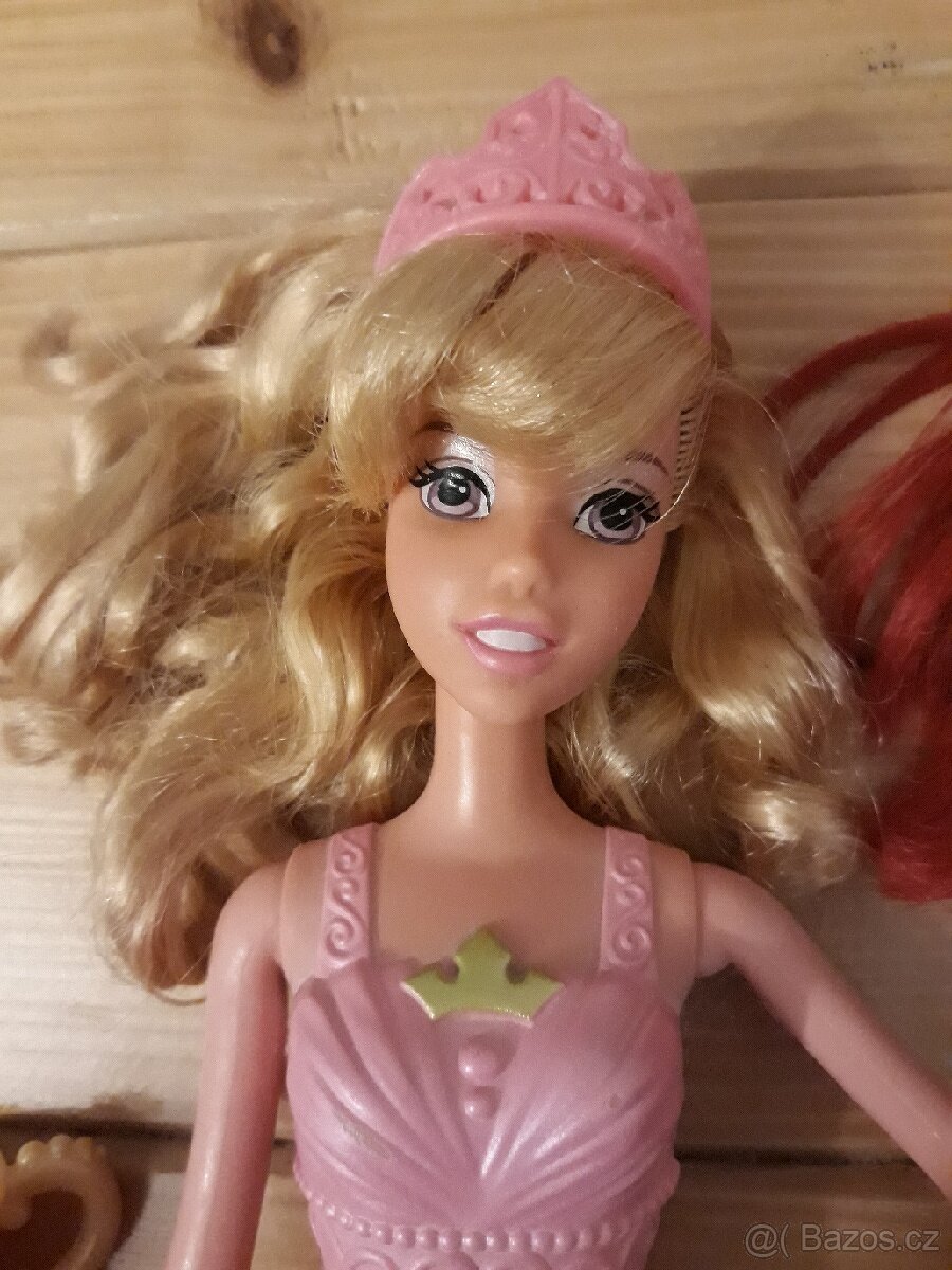 panenka Šípková Růženka