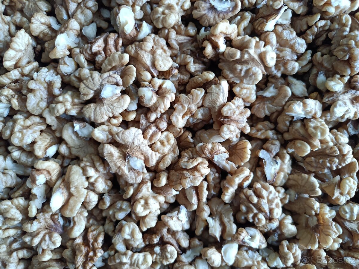 Vlašské ořechy loupané, sklizeň 2025