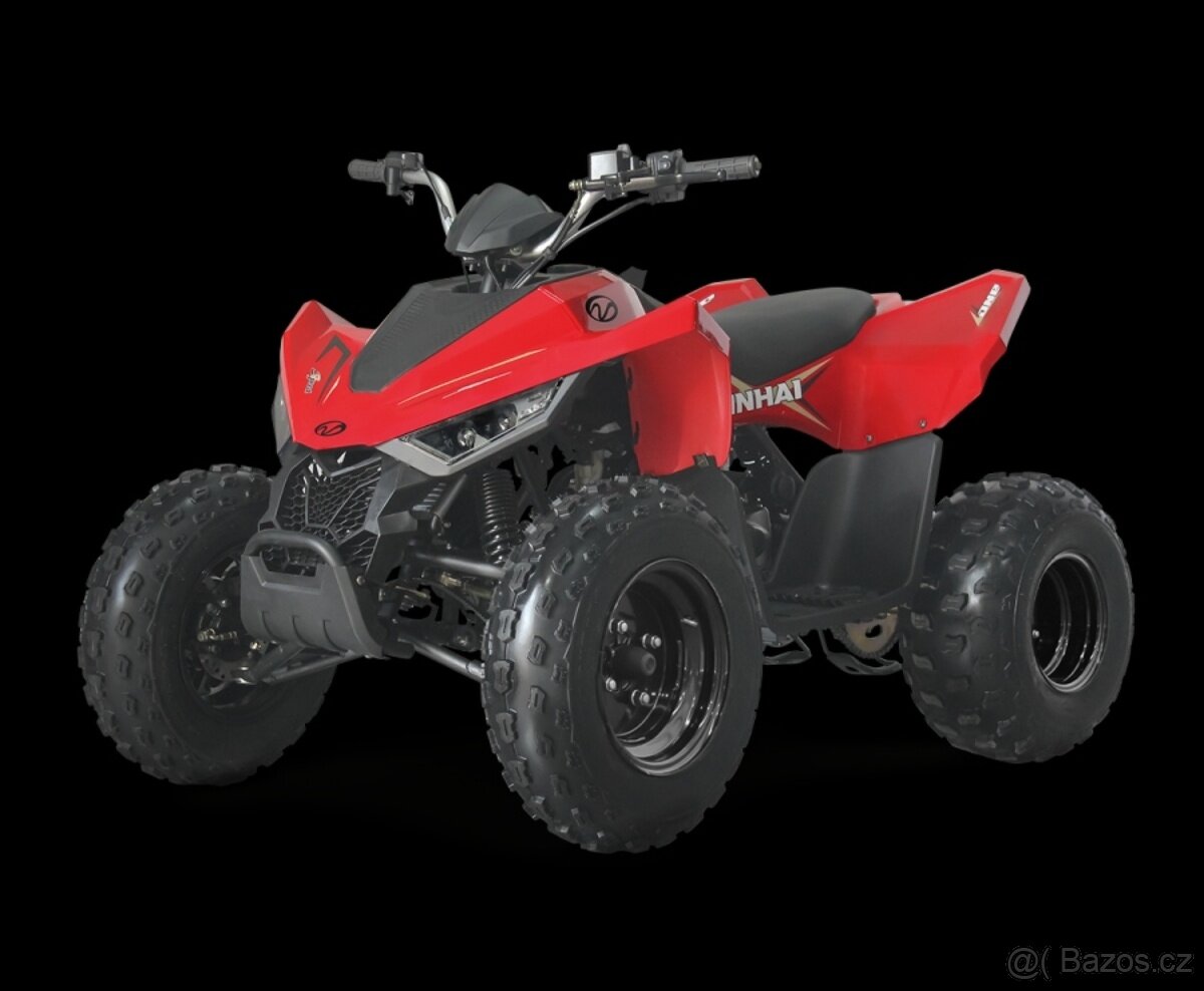 LINHAI ATV 110 2X4 EFI CE
