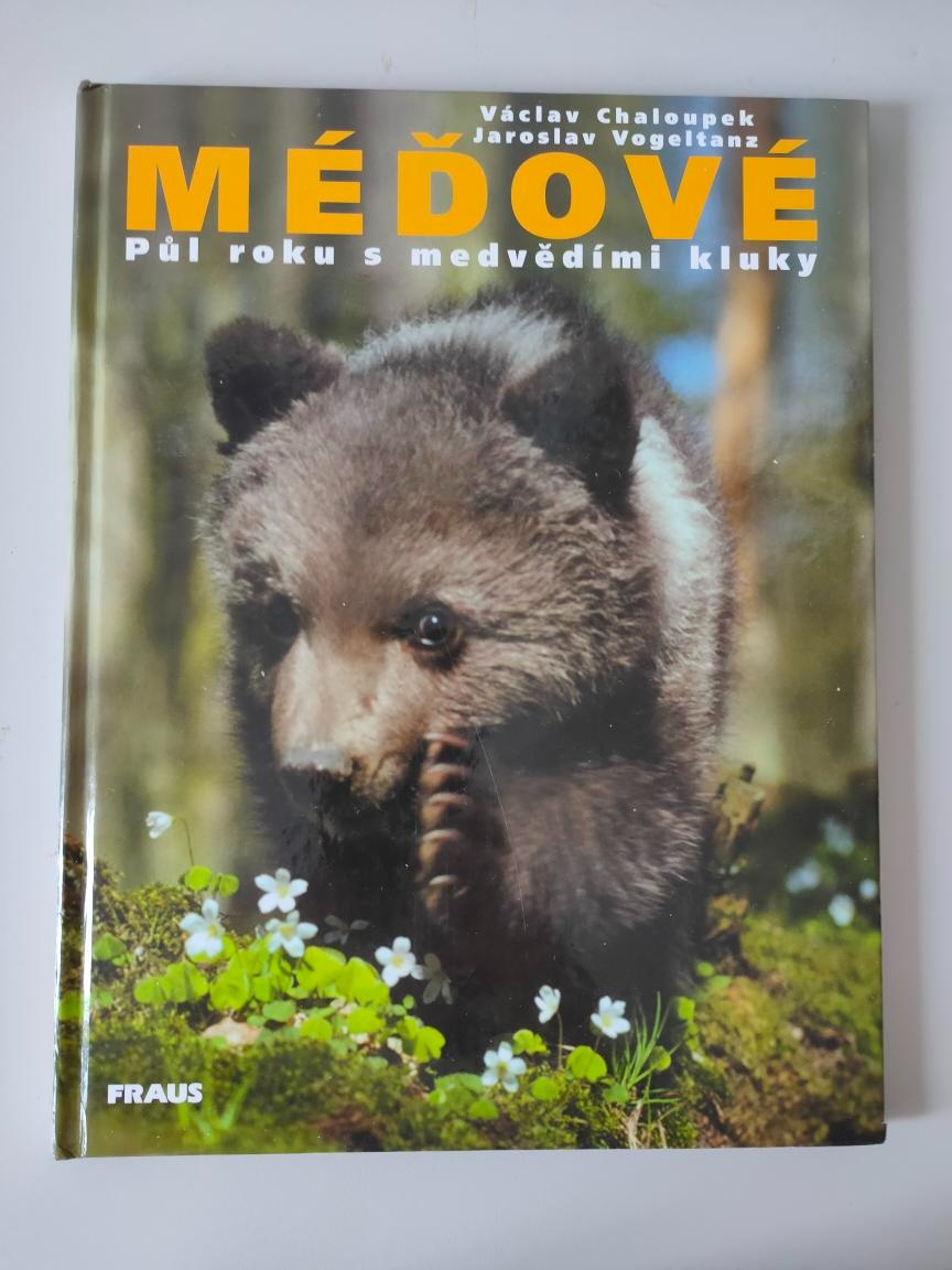 Méďové