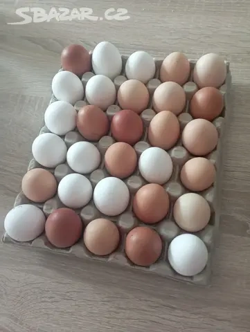 PRODEJ DOMÁCÍCH VAJEC