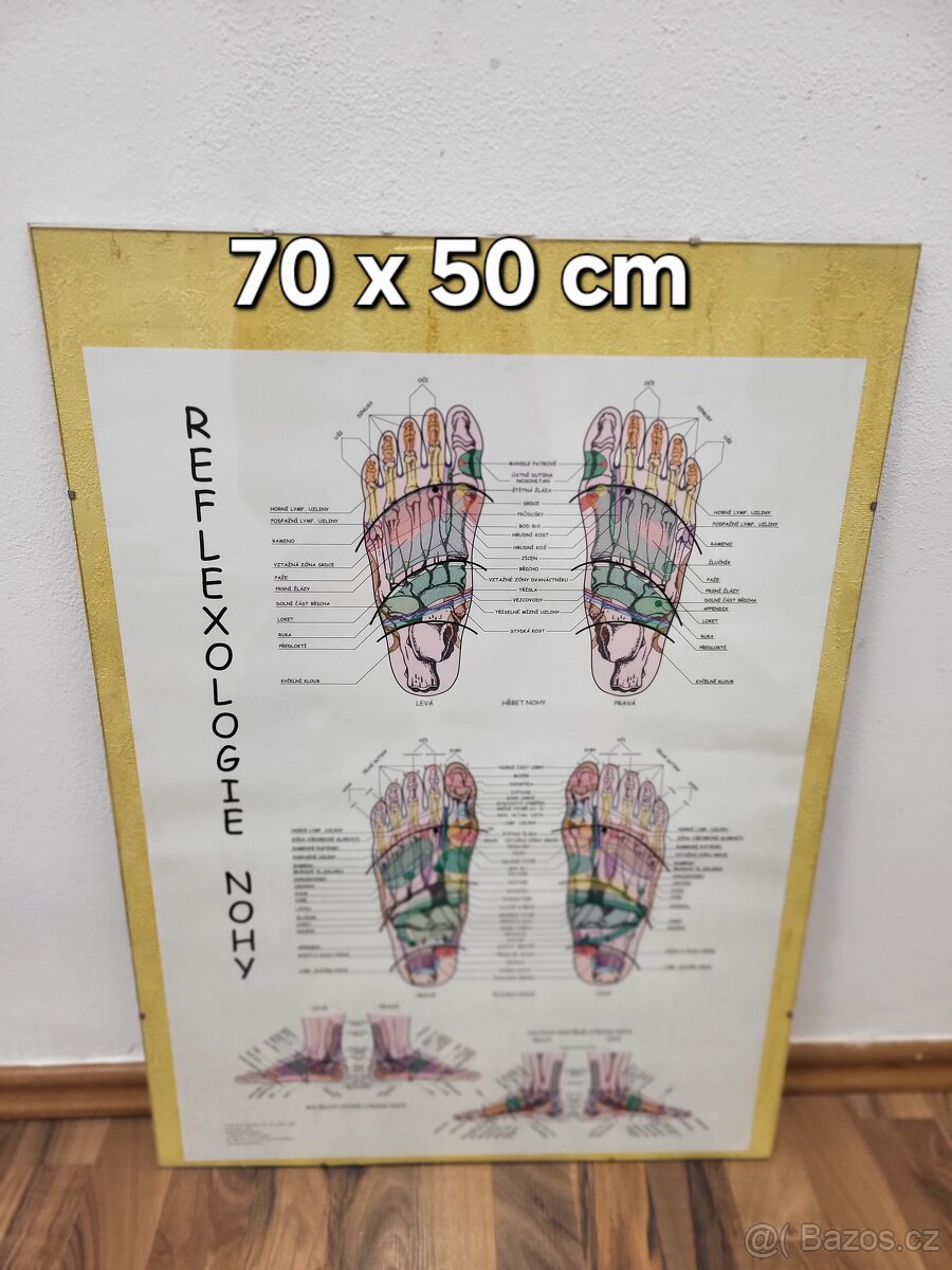 Obraz reflexní body