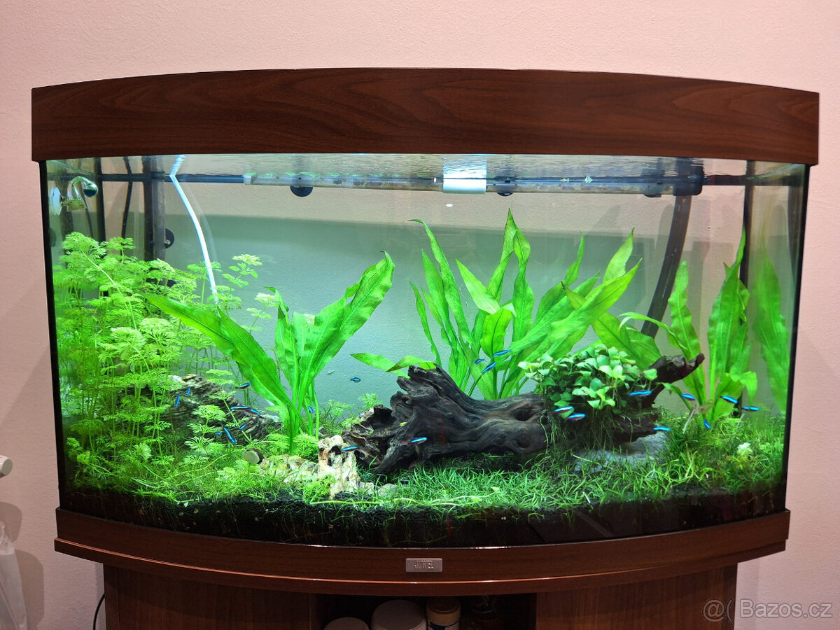 AKvárium Juwel 180