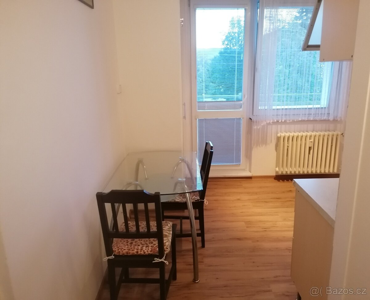 Pronájem bytu 1 +1