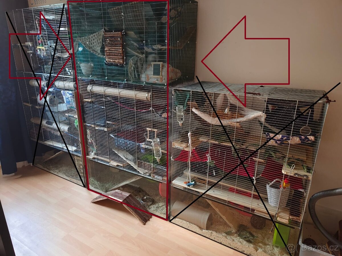 Klec - osmák, potkan, hlodavci